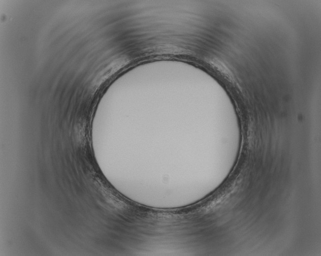 X0000088410873200706191420