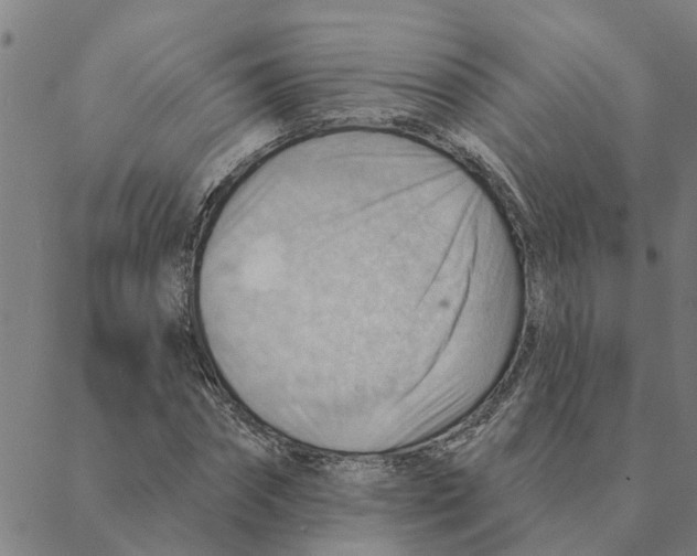 X0000088410874200706191420