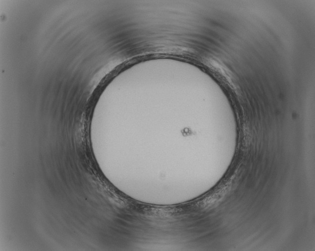 X0000088410875200706191420