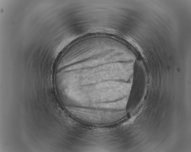 X0000088410877200706191420