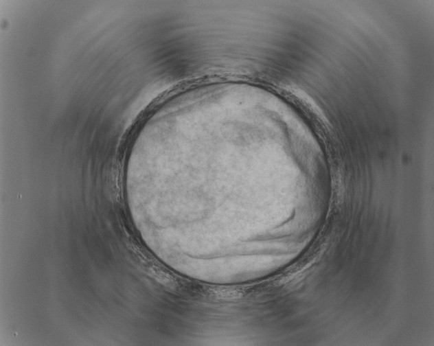 X0000088410878200706191420