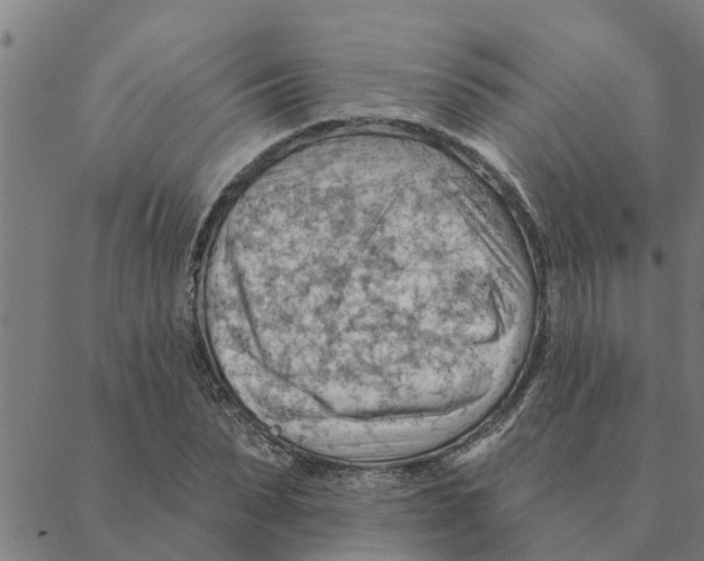 X0000088410879200706191420