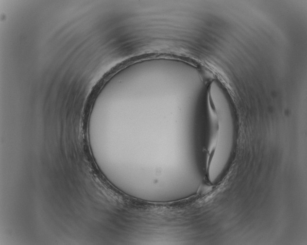 X0000088410880200706191420