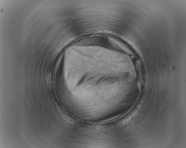 X0000088410881200706191420