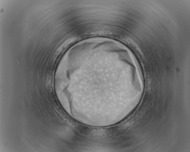 X0000088410882200706191420