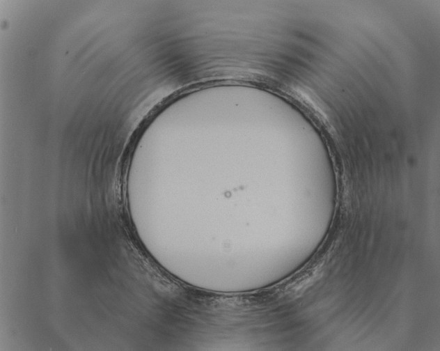 X0000088410883200706191419