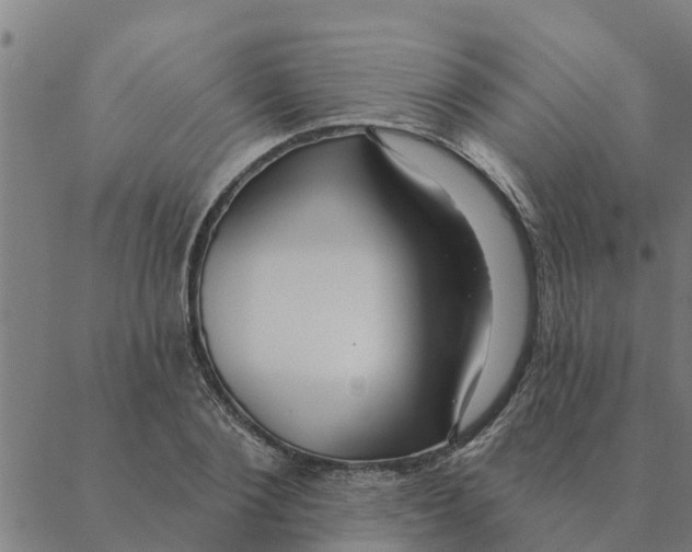 X0000088410884200706191419