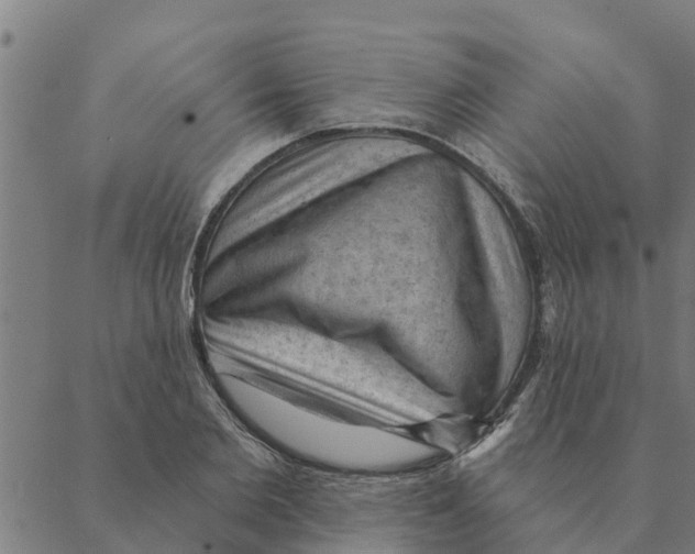 X0000088410885200706191419