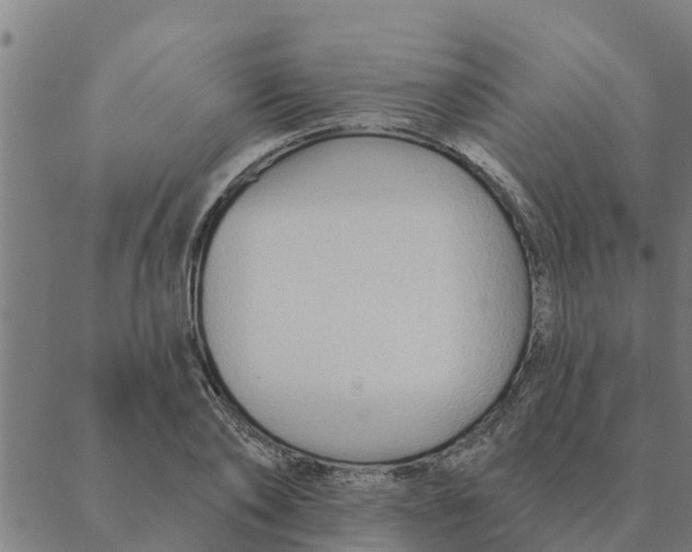 X0000088410886200706191419