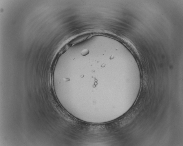 X0000088410887200706191419