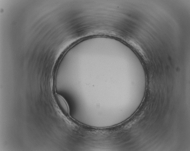 X0000088410888200706191419