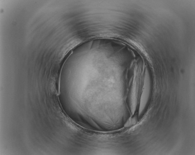 X0000088410889200706191419