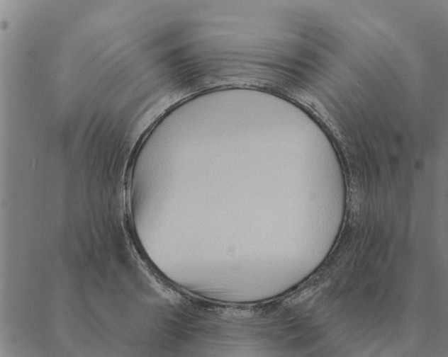 X0000088410890200706191419