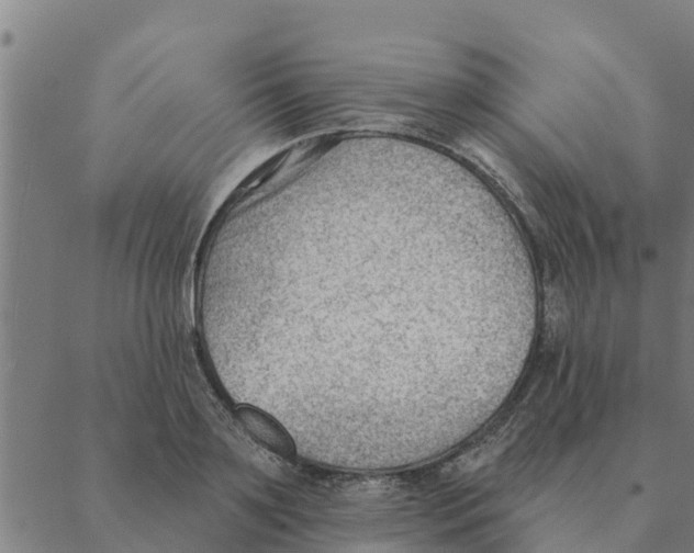 X0000088410891200706191419