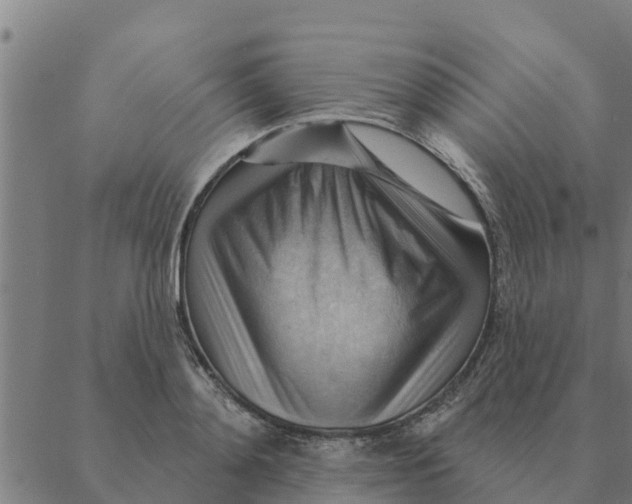 X0000088410892200706191419