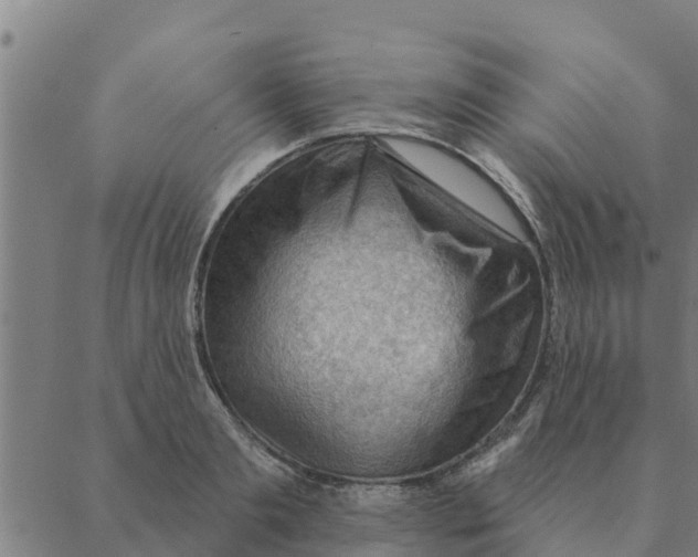 X0000088410893200706191419