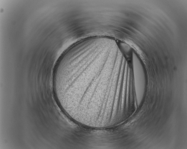 X0000088410894200706191419