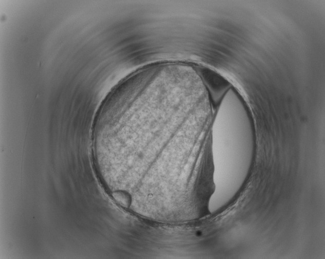 X0000088410895200706191419