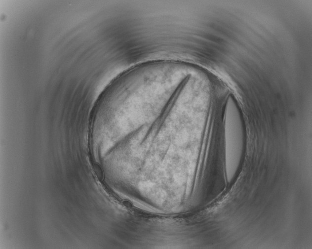 X0000088410896200706191419