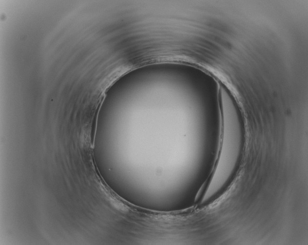 X0000088410897200706191419