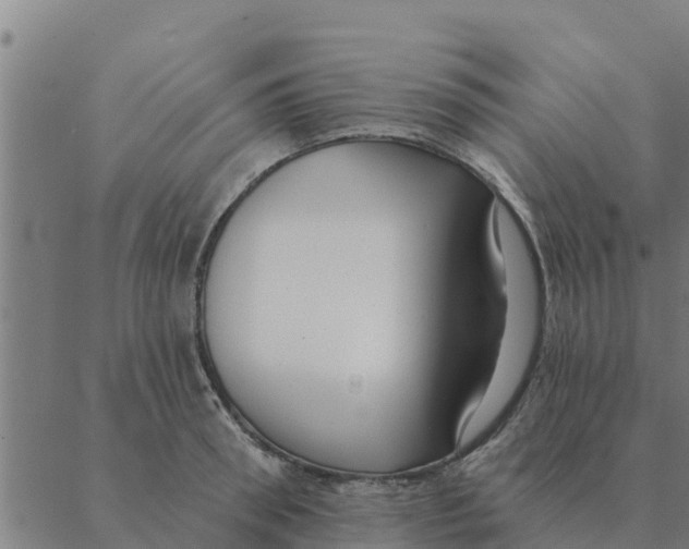 X0000088410898200706191419