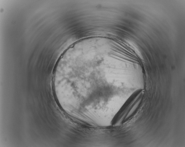 X0000088410899200706191419