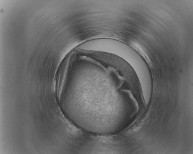 X0000088410900200706191419