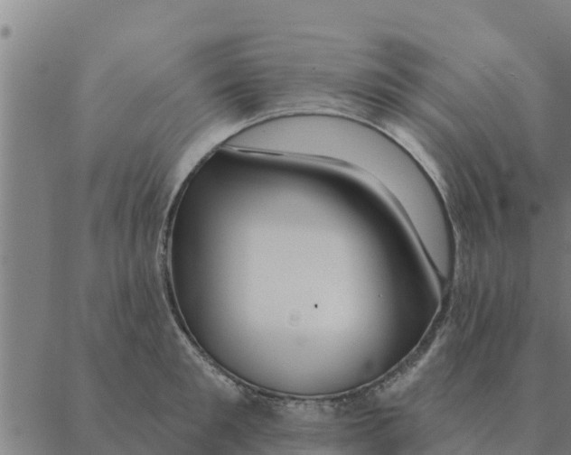 X0000088410901200706191419