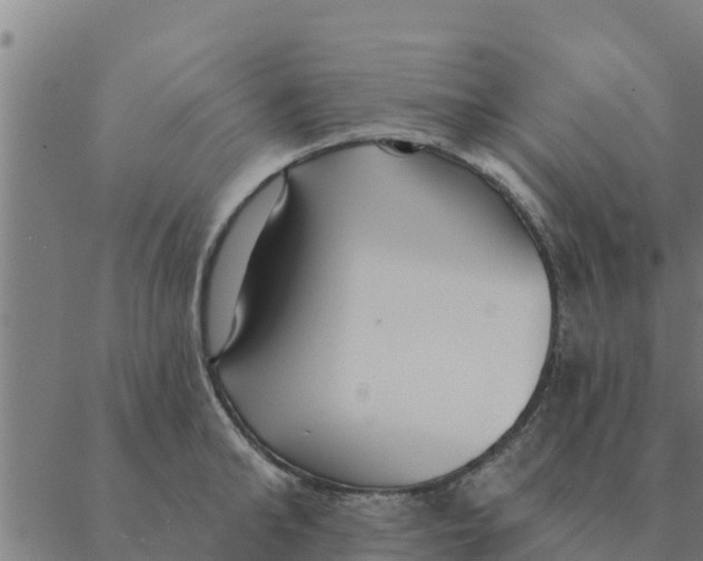 X0000088410902200706191419