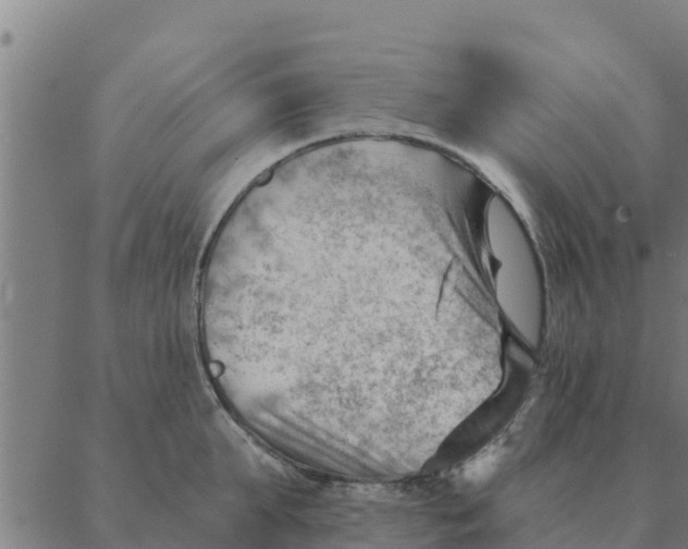 X0000088410903200706191419