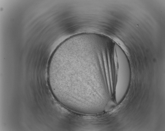 X0000088410904200706191419