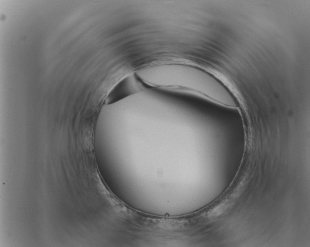 X0000088410905200706191419