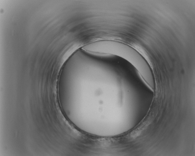 X0000088410906200706191419