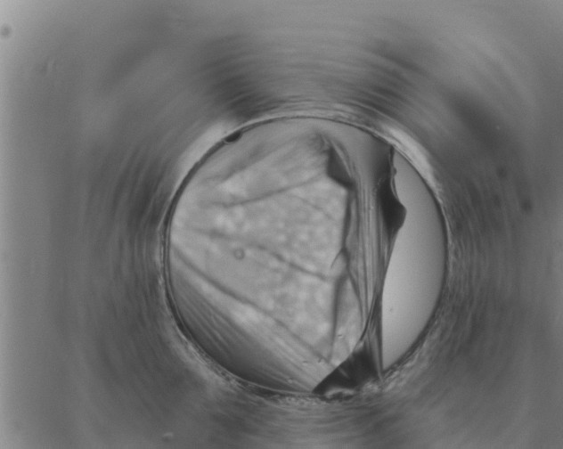 X0000088410907200706191419