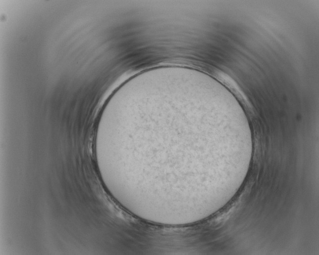 X0000088410908200706191419