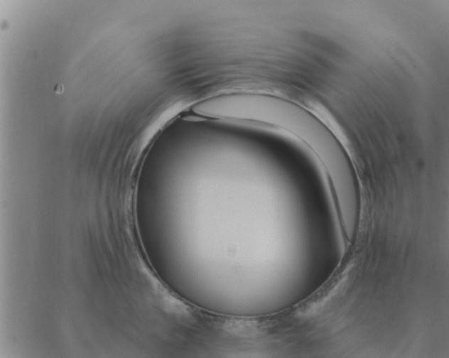 X0000088410909200706191419