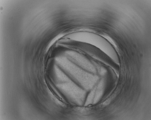 X0000088410910200706191419