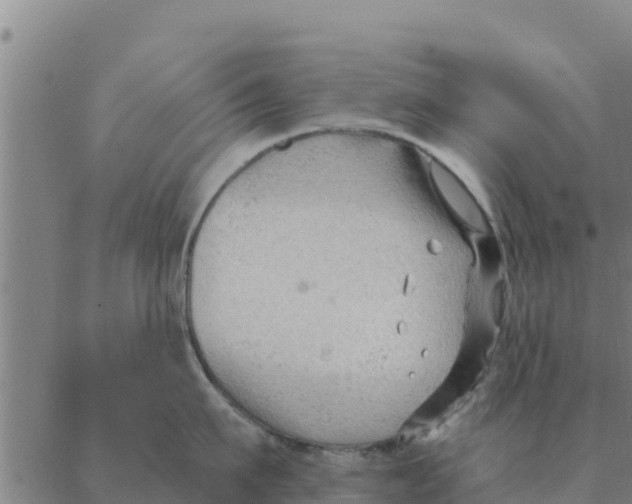 X0000088410911200706191419