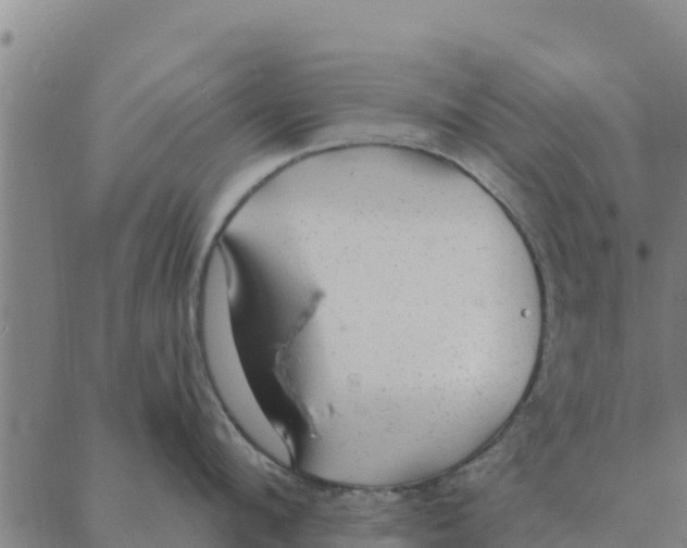 X0000088410912200706191419