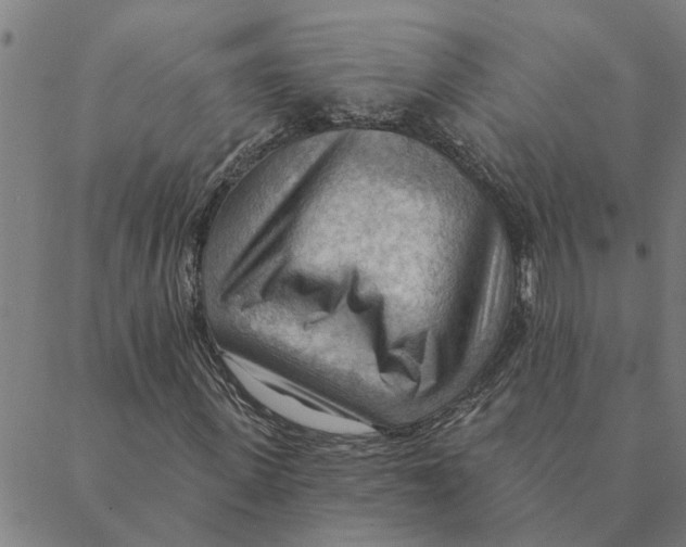 X0000088410915200706191418