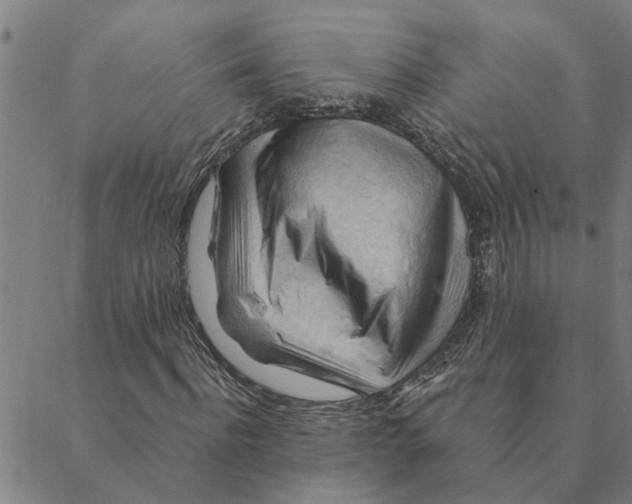 X0000088410916200706191418