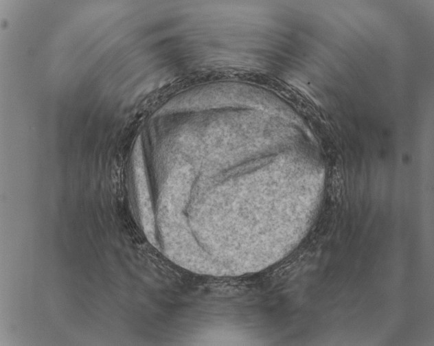 X0000088410917200706191418