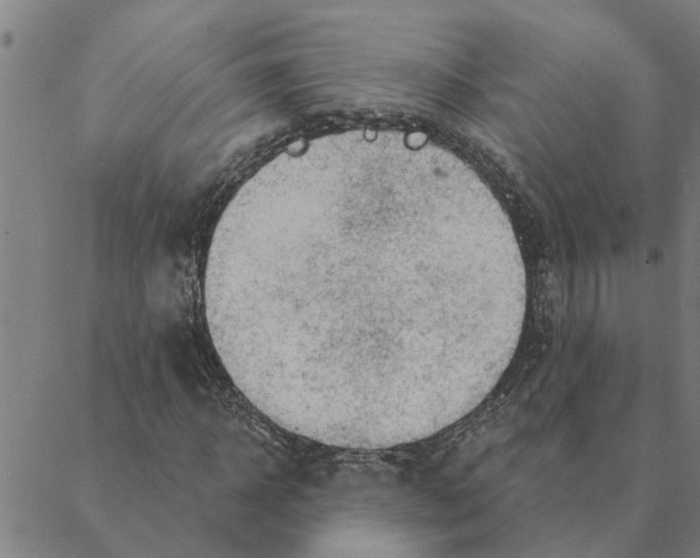 X0000088410918200706191418