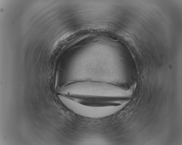 X0000088410920200706191418