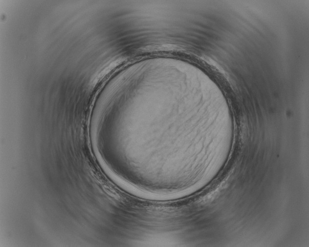 X0000088410921200706191418