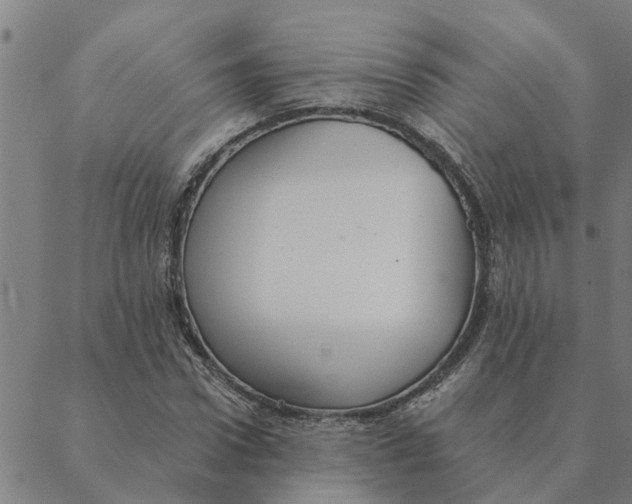 X0000088410922200706191418