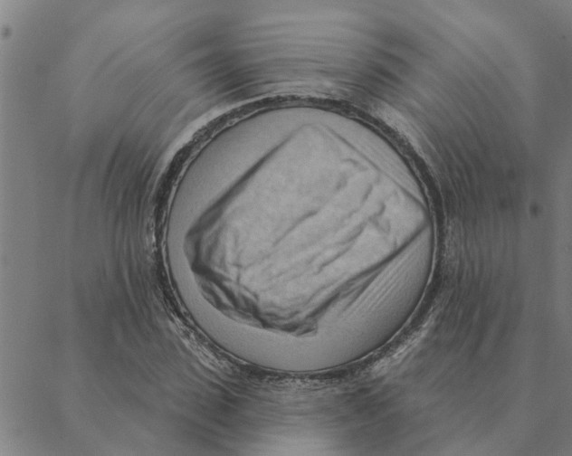 X0000088410923200706191418