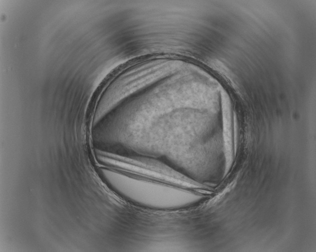 X0000088410924200706191418