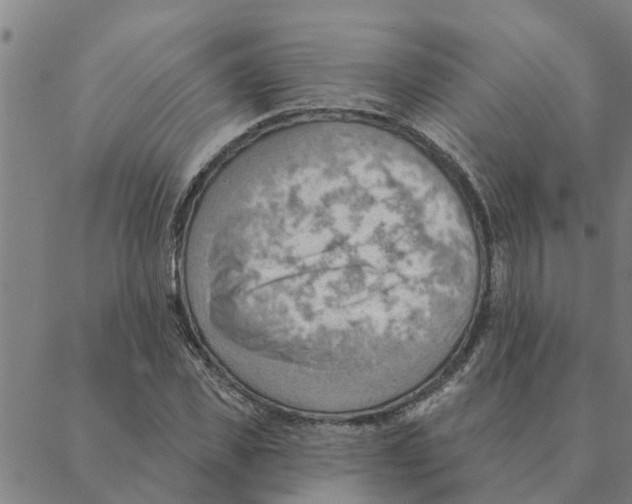 X0000088410925200706191418