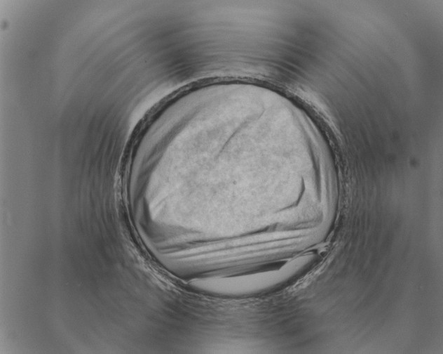 X0000088410928200706191418